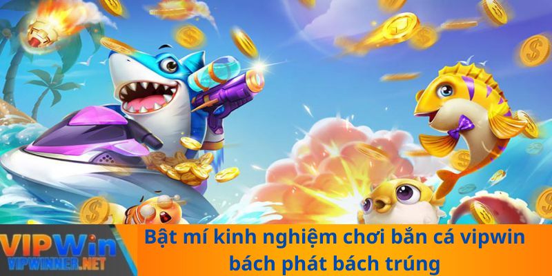 Bật mí kinh nghiệm chơi bắn cá vipwin bách phát bách trúng