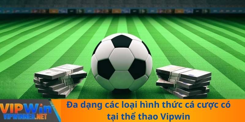 Đa dạng các loại hình thức cá cược có tại thể thao Vipwin