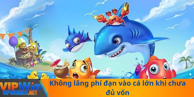 Không lãng phí đạn vào cá lớn khi chưa đủ vốn