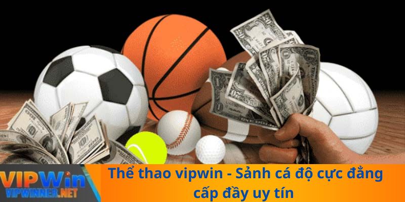 Thể thao vipwin - Sảnh cá độ cực đẳng cấp đầy uy tín 