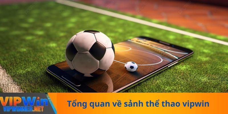 Tổng quan về sảnh thể thao vipwin