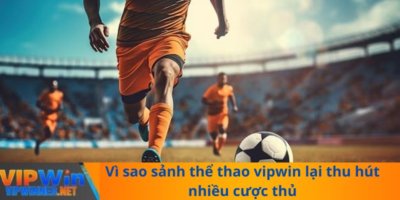 Vì sao sảnh thể thao vipwin lại thu hút nhiều cược thủ